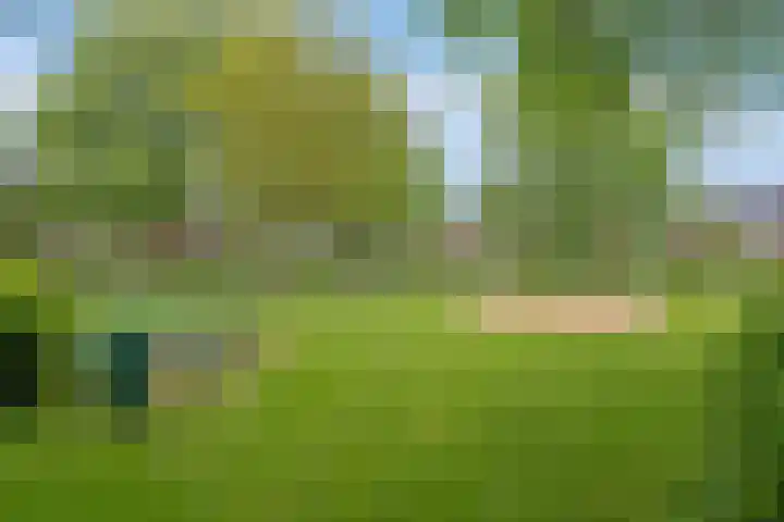 Grote Waard 27 Zevenbergen thumbnail 40