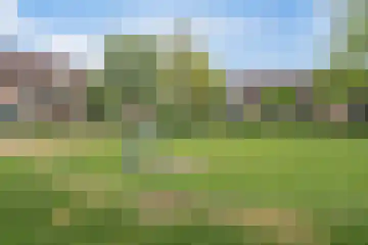 Grote Waard 27 Zevenbergen thumbnail 41