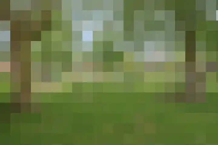 Grote Waard 27 Zevenbergen thumbnail 42