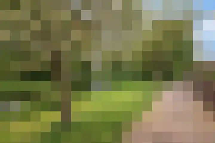 Grote Waard 27 Zevenbergen thumbnail 43