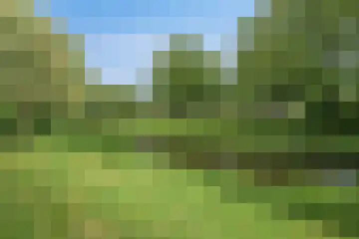 Grote Waard 27 Zevenbergen thumbnail 44
