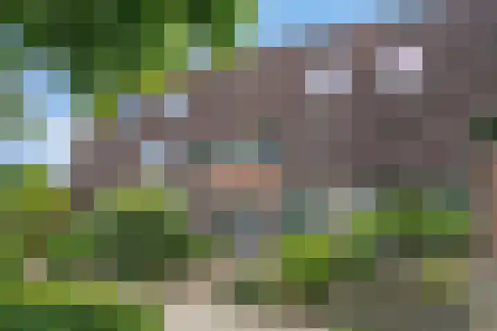 Grote Waard 27 Zevenbergen thumbnail 49