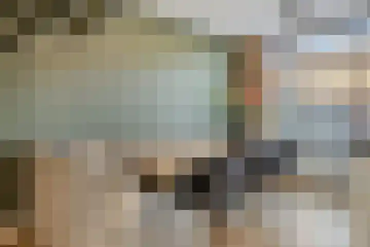 Grote Waard 34 Zevenbergen thumbnail 10