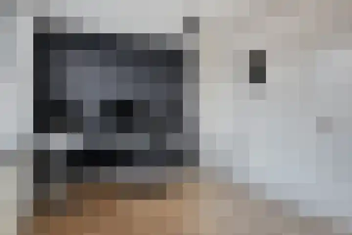 Grote Waard 34 Zevenbergen thumbnail 19