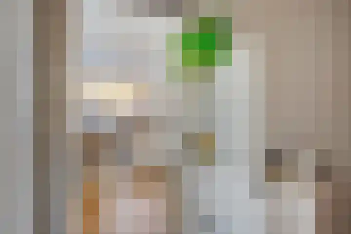 Grote Waard 34 Zevenbergen thumbnail 4