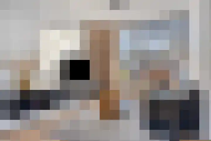 Grote Waard 34 Zevenbergen thumbnail 6