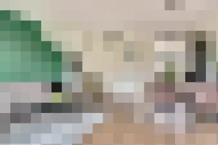 Grote Waard 40 Zwaag thumbnail 14