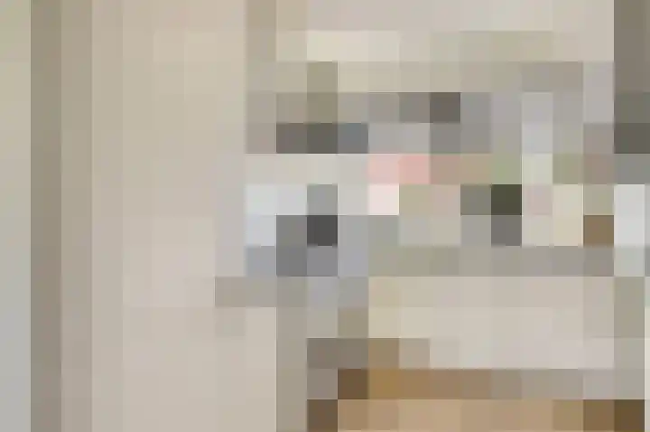 Grote Waard 40 Zwaag thumbnail 16