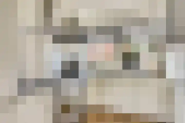 Grote Waard 40 Zwaag thumbnail 17