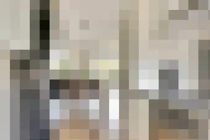 Grote Waard 40 Zwaag thumbnail 18