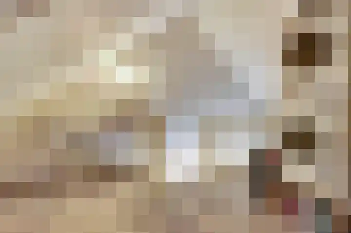 Grote Waard 40 Zwaag thumbnail 30