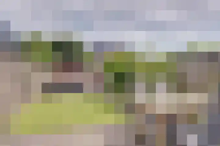 Grote Waard 40 Zwaag thumbnail 32