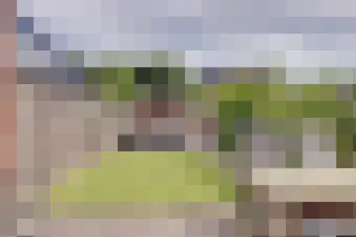 Grote Waard 40 Zwaag thumbnail 33