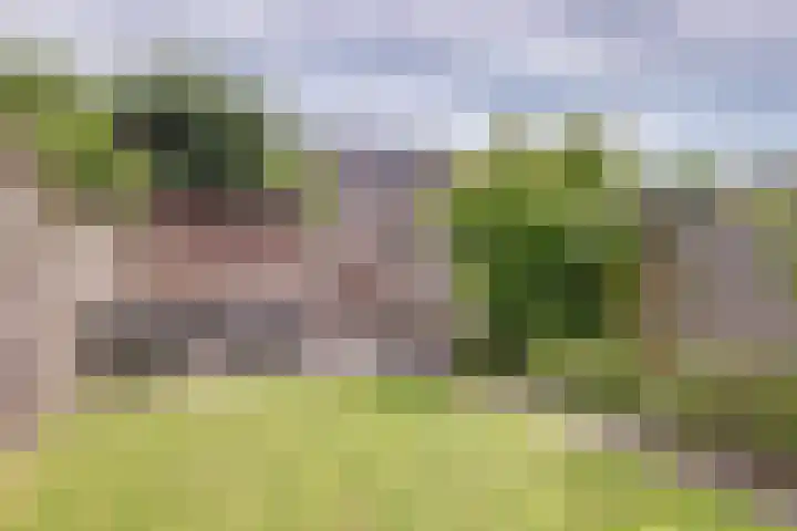 Grote Waard 40 Zwaag thumbnail 34