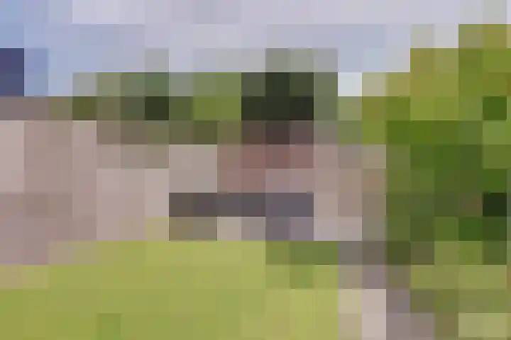 Grote Waard 40 Zwaag thumbnail 35