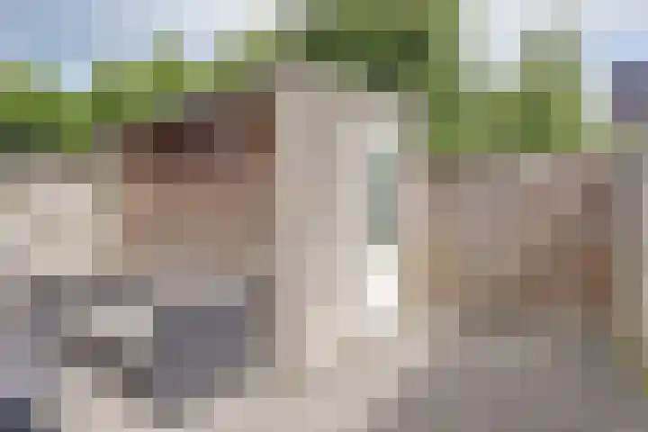 Grote Waard 40 Zwaag thumbnail 37