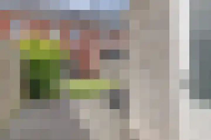 Grote Waard 40 Zwaag thumbnail 38