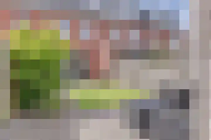 Grote Waard 40 Zwaag thumbnail 39