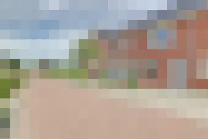Grote Waard 40 Zwaag thumbnail 4
