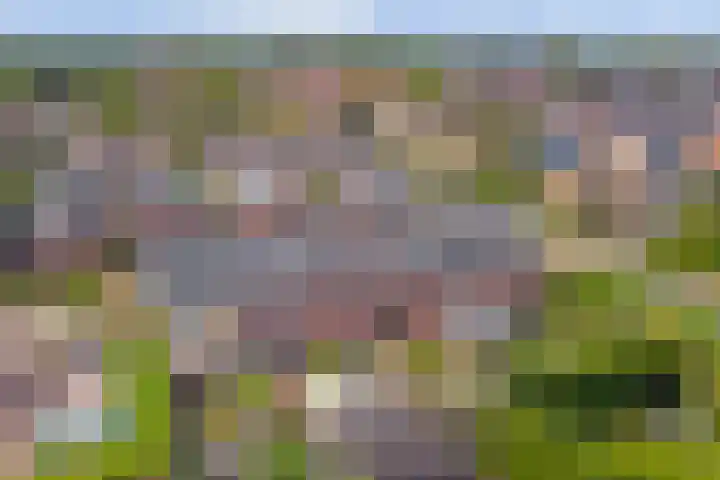 Grote Waard 40 Zwaag thumbnail 45