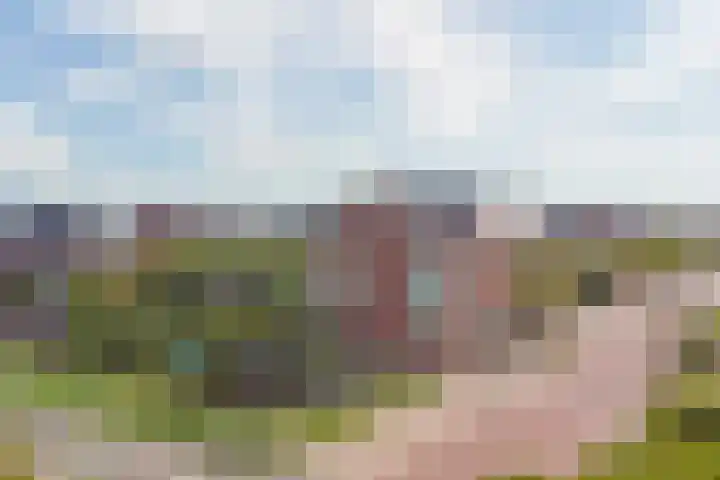 Grote Waard 40 Zwaag thumbnail 46