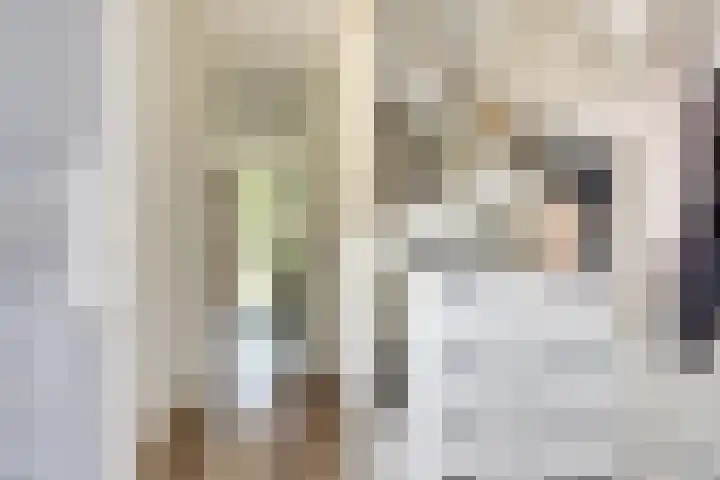Grote Waard 40 Zwaag thumbnail 6
