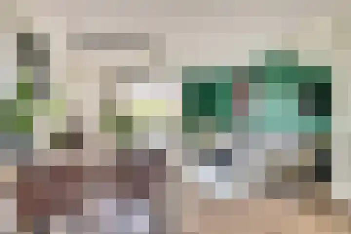 Grote Waard 40 Zwaag thumbnail 9