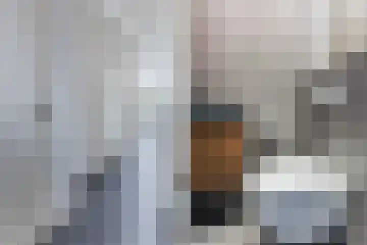 Grote Waard 46 Zwaag thumbnail 12