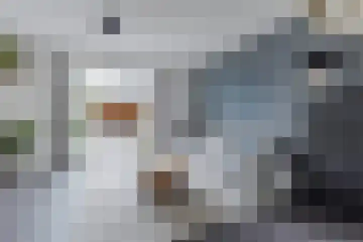 Grote Waard 46 Zwaag thumbnail 13