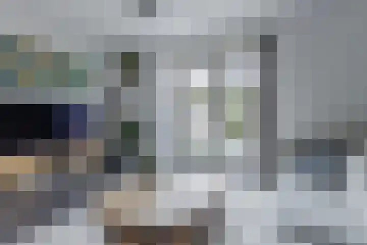 Grote Waard 46 Zwaag thumbnail 14