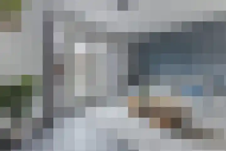 Grote Waard 46 Zwaag thumbnail 15