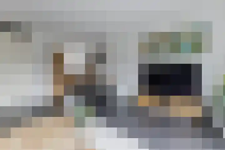 Grote Waard 46 Zwaag thumbnail 16