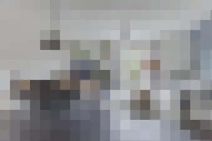 Grote Waard 46 Zwaag thumbnail 17