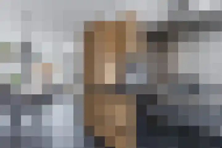 Grote Waard 46 Zwaag thumbnail 20