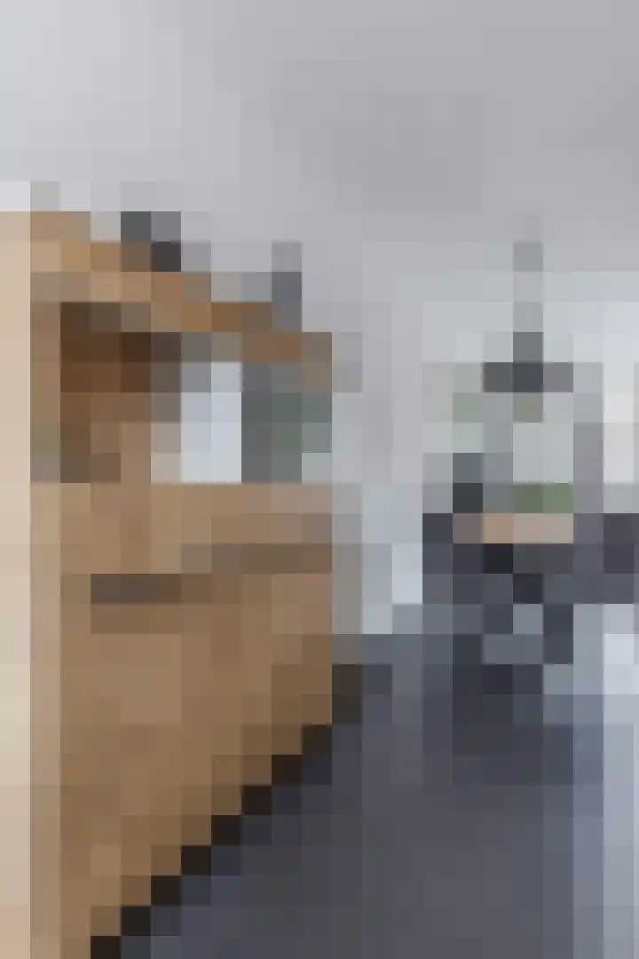 Grote Waard 46 Zwaag thumbnail 21