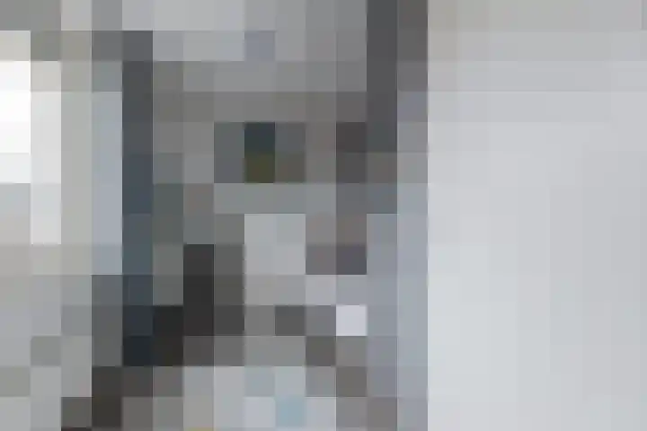 Grote Waard 46 Zwaag thumbnail 28