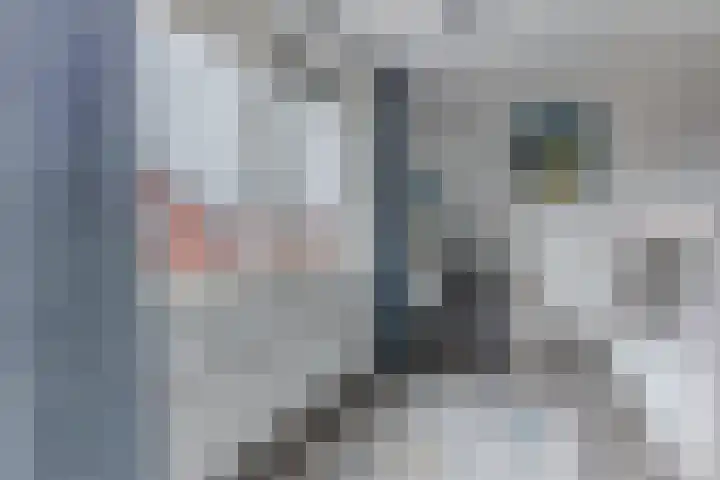 Grote Waard 46 Zwaag thumbnail 29