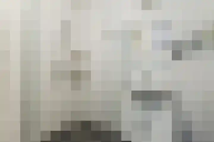 Grote Waard 46 Zwaag thumbnail 31