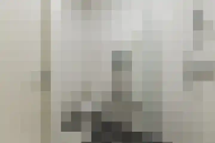 Grote Waard 46 Zwaag thumbnail 32