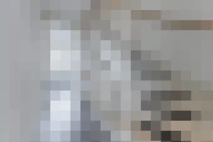 Grote Waard 46 Zwaag thumbnail 34