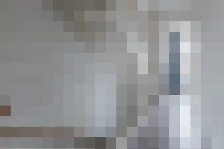 Grote Waard 46 Zwaag thumbnail 35