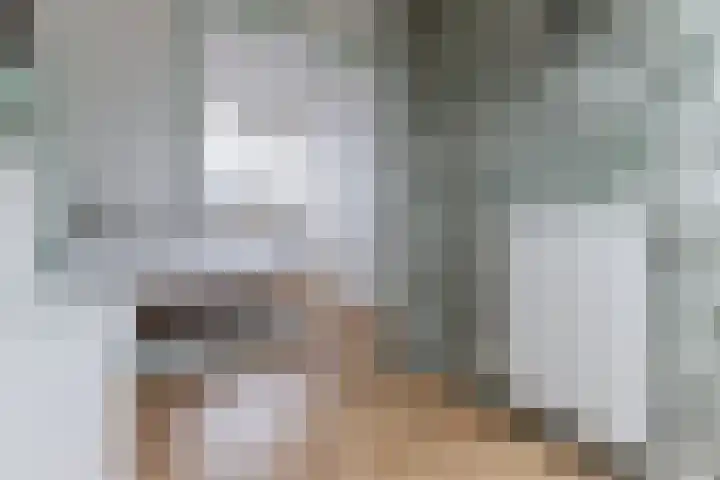 Grote Waard 46 Zwaag thumbnail 39