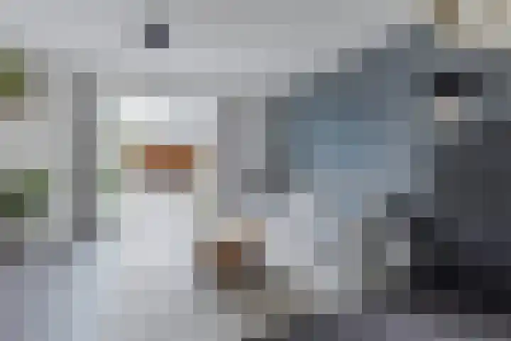 Grote Waard 46 Zwaag thumbnail 4