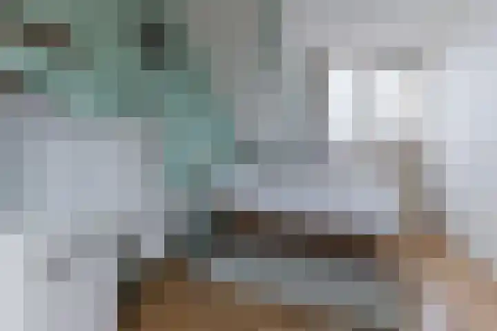 Grote Waard 46 Zwaag thumbnail 40