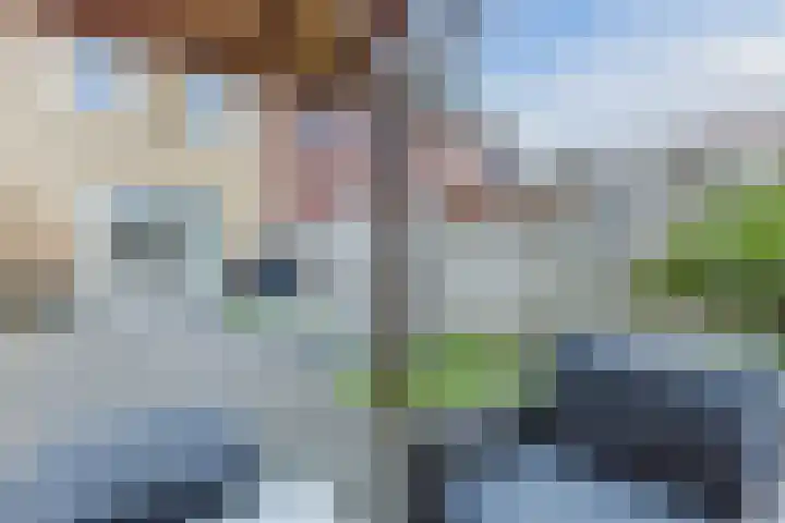 Grote Waard 46 Zwaag thumbnail 43
