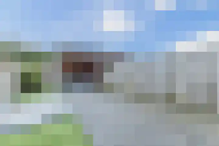 Grote Waard 46 Zwaag thumbnail 45
