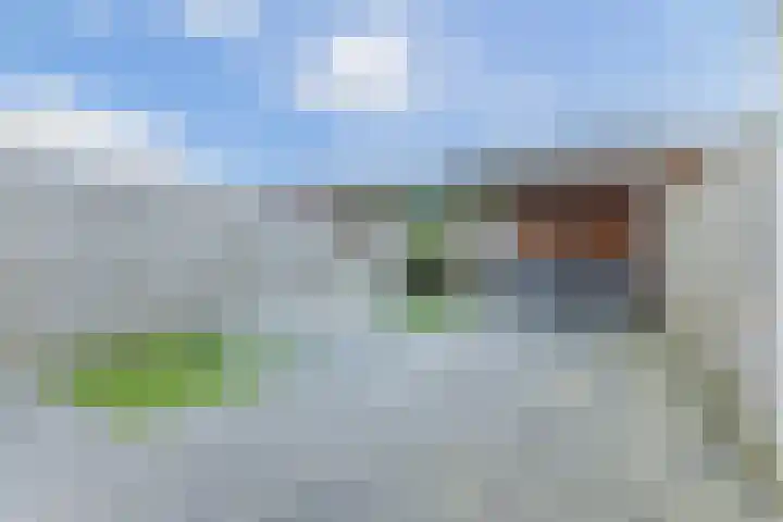Grote Waard 46 Zwaag thumbnail 46