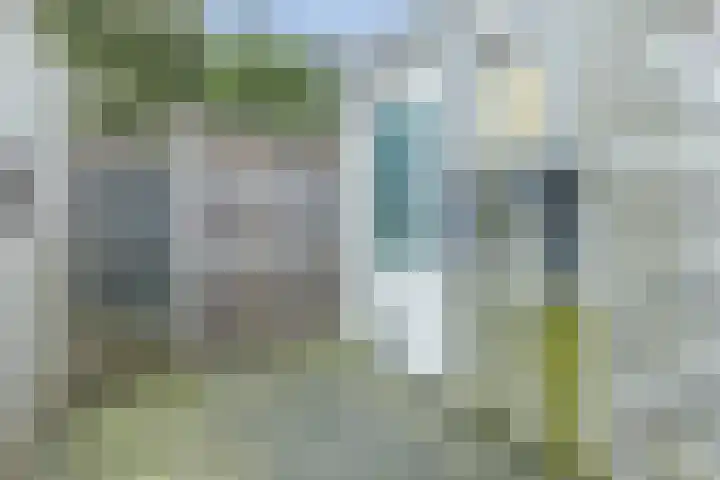 Grote Waard 46 Zwaag thumbnail 47
