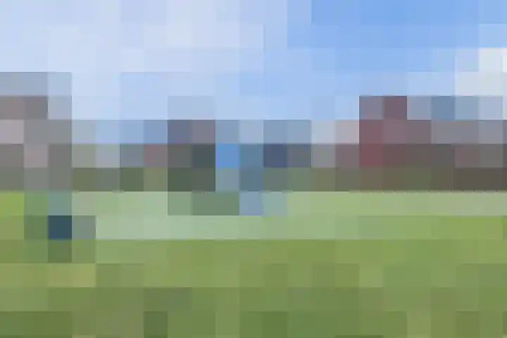 Grote Waard 46 Zwaag thumbnail 48