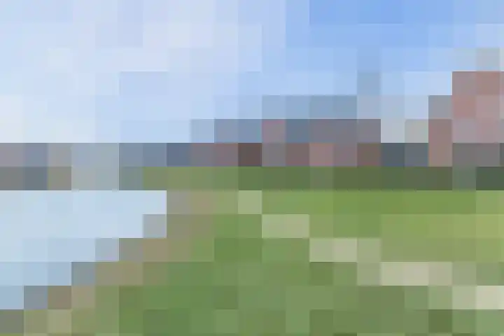 Grote Waard 46 Zwaag thumbnail 49